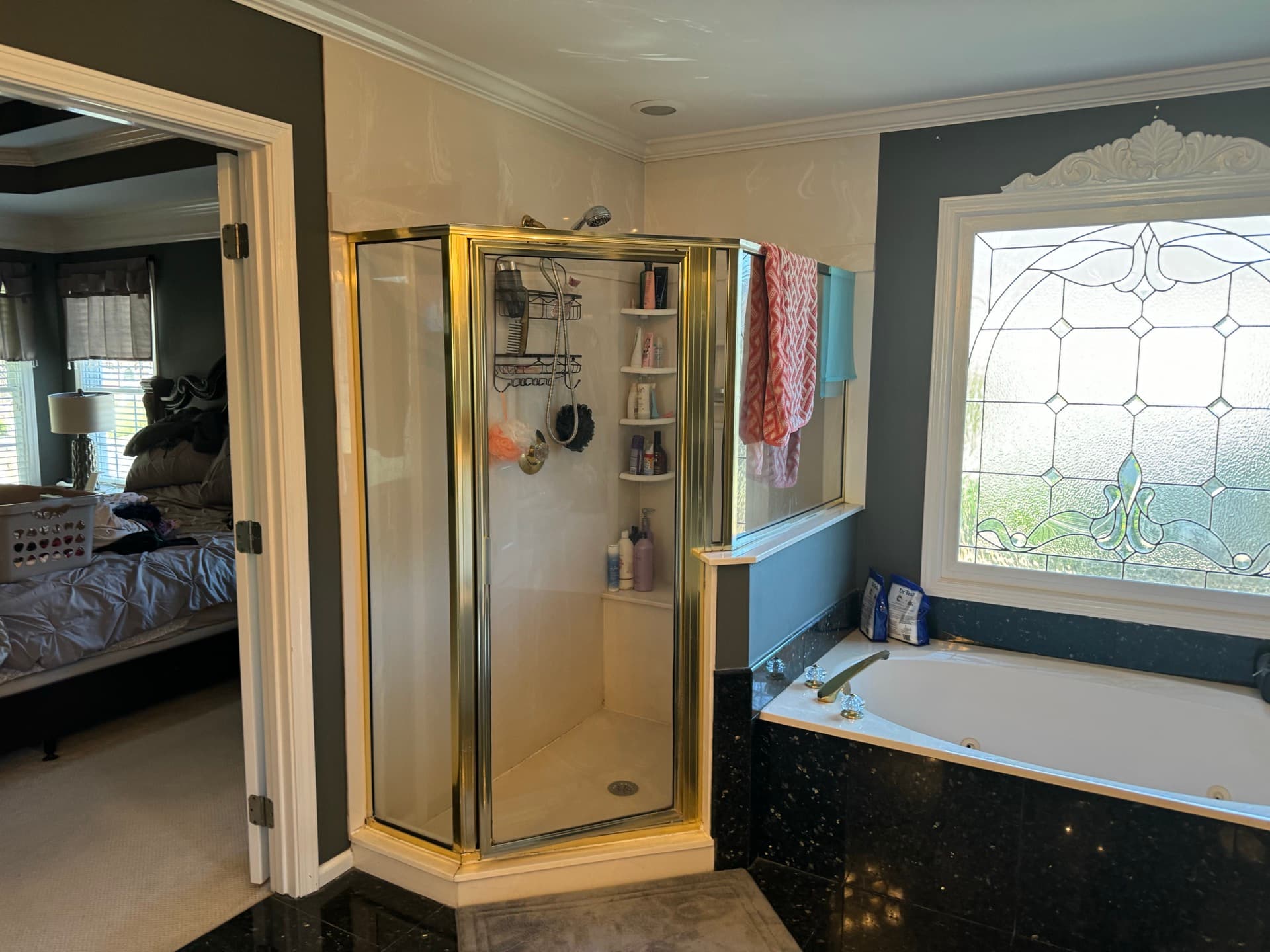 Master Bathroom Remodel — before, angle 1